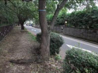 2011N9tɂȂČ͂n߂No.939