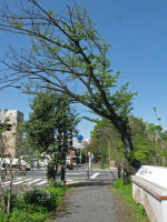 No.864tA͂ꂽƂ낪ڗĂł