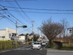 9252_shinkoganei200312.jpg