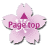 PAGETOP